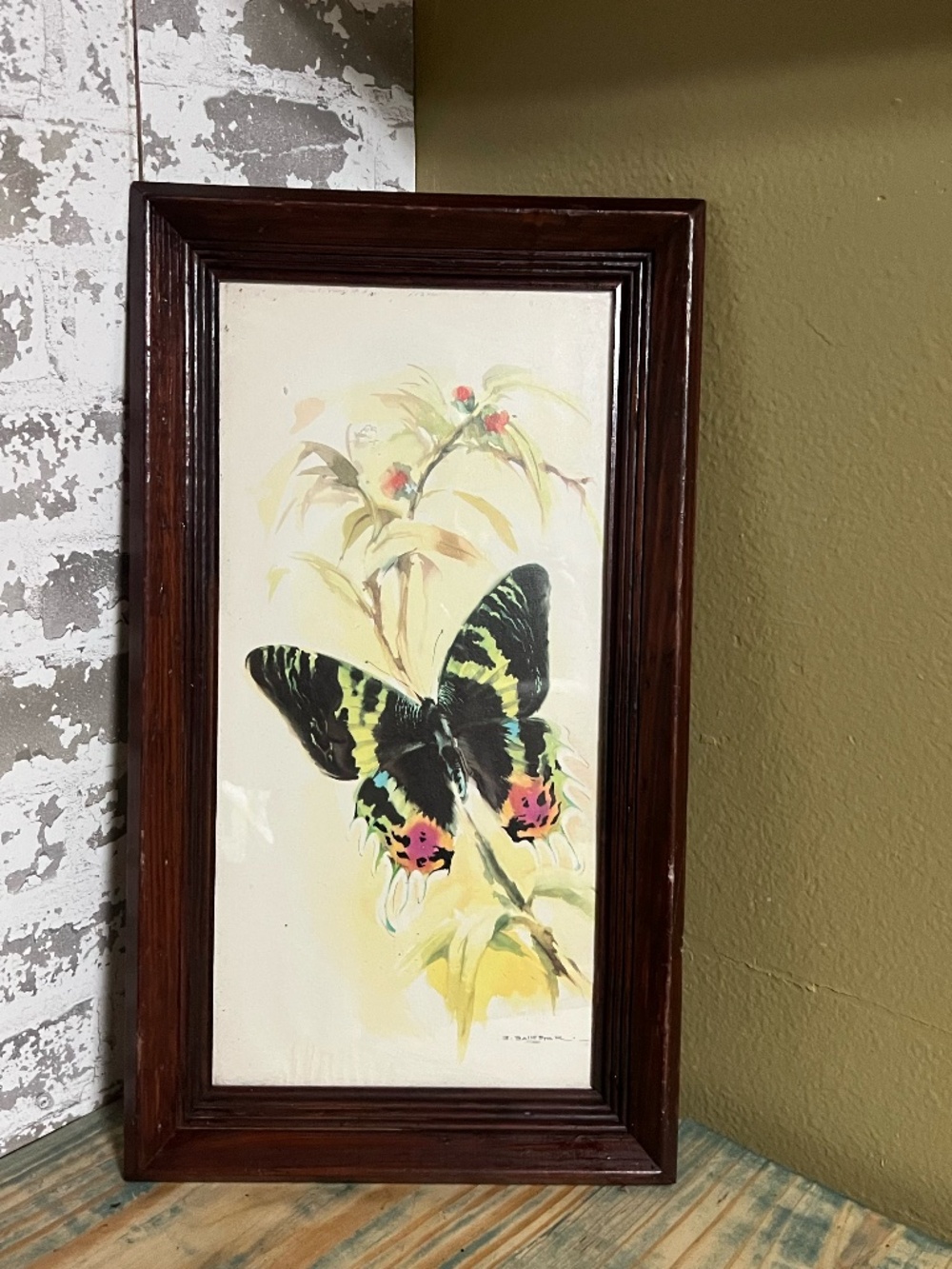Vintage Sunset Moth Art Print B Ballestar Lithograph in Wood Frame